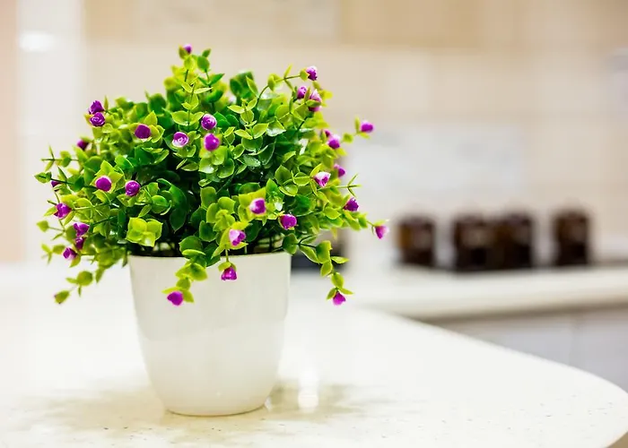 Apartment Avangard Studio